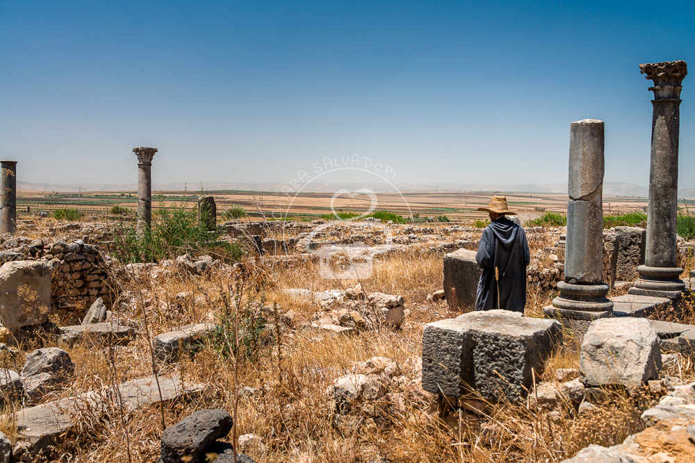 Volubilis