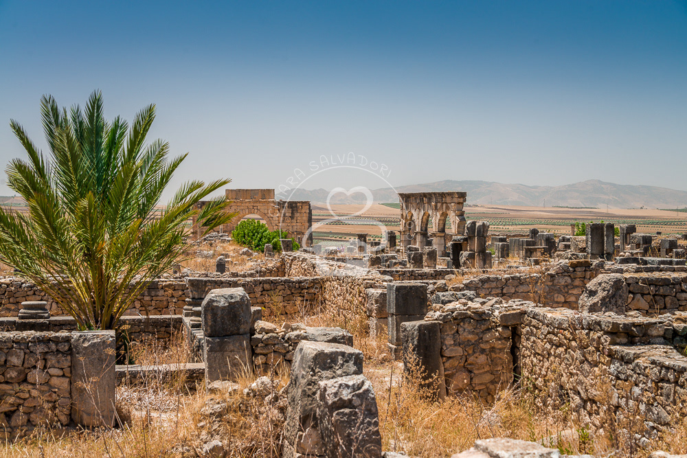 Volubilis