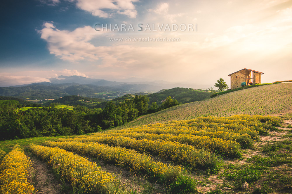 Sale San Giovanni - Alta Langa