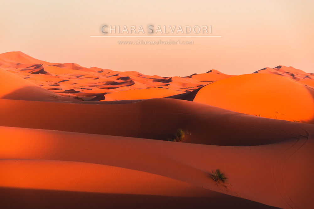 Sahara Desert