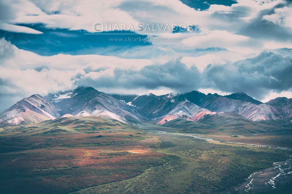 Denali National Park