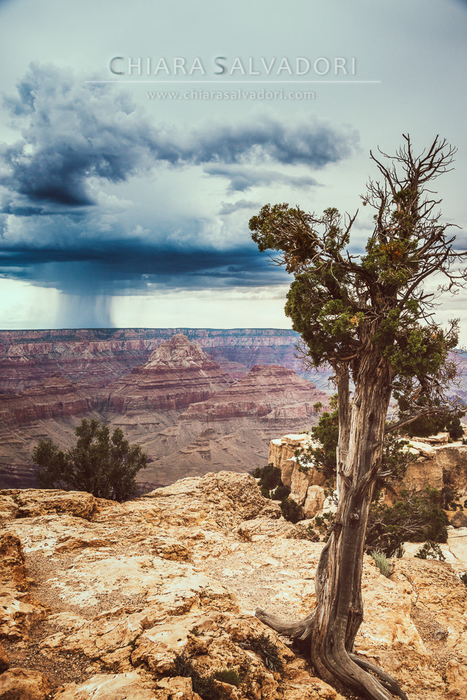 Grand Canyon National Park