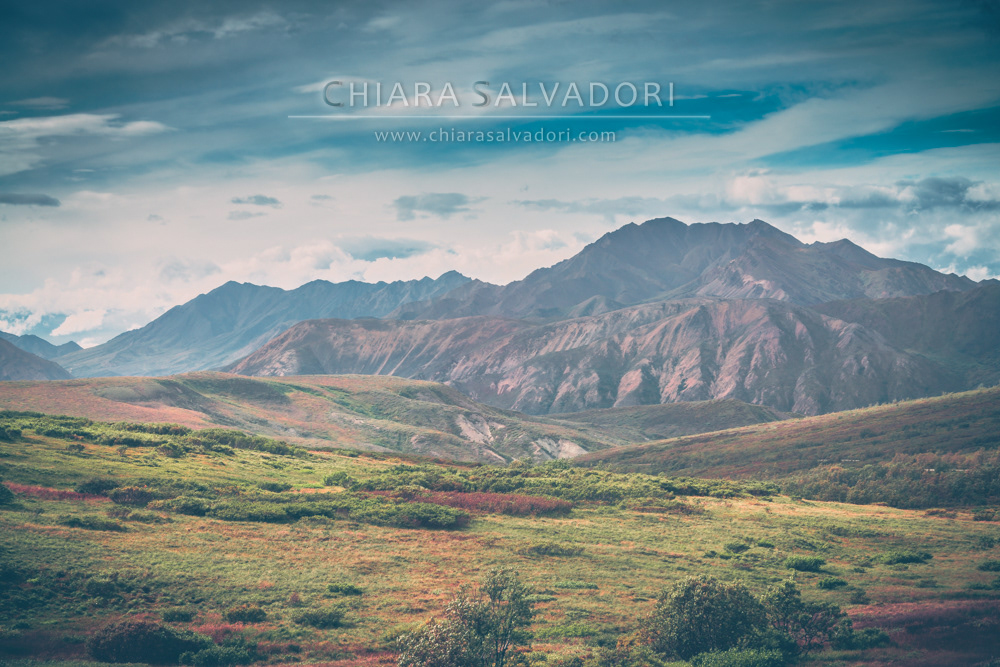 Denali National Park