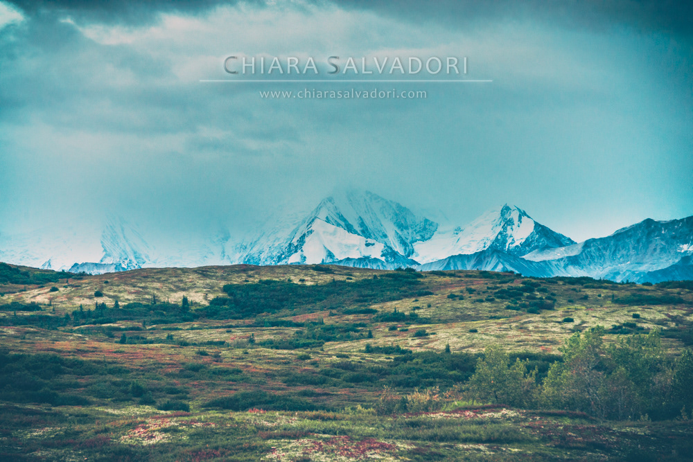 Denali National Park