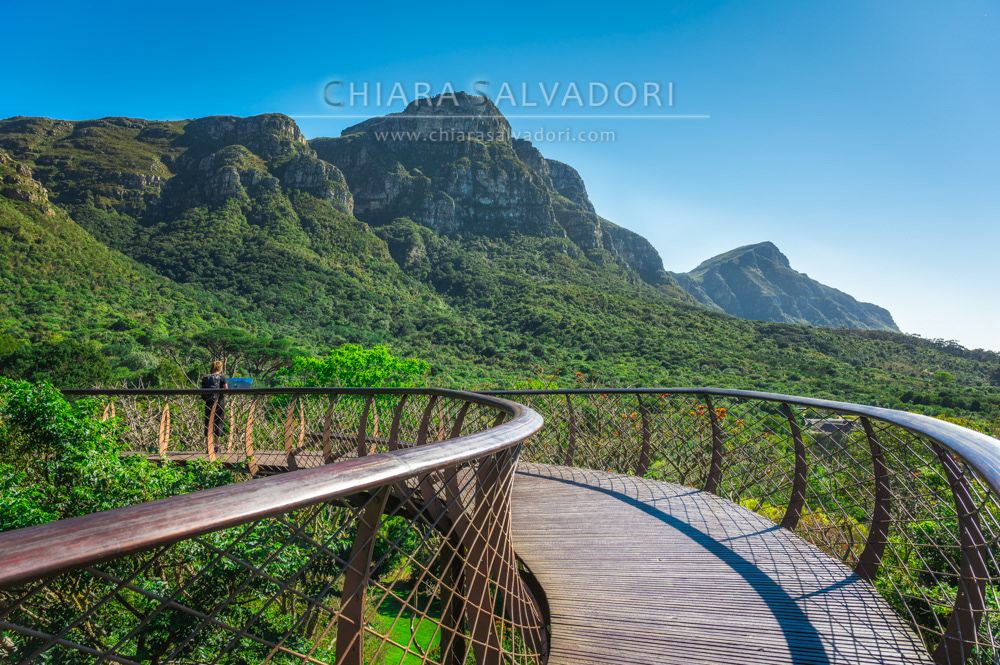Kirstenbosch Gardens - Cape Town