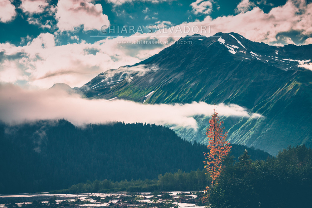 Kenai Lake