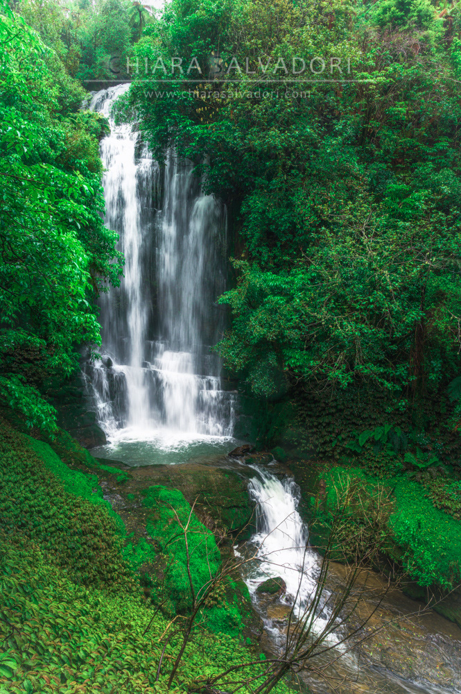 Waitanguru Falls