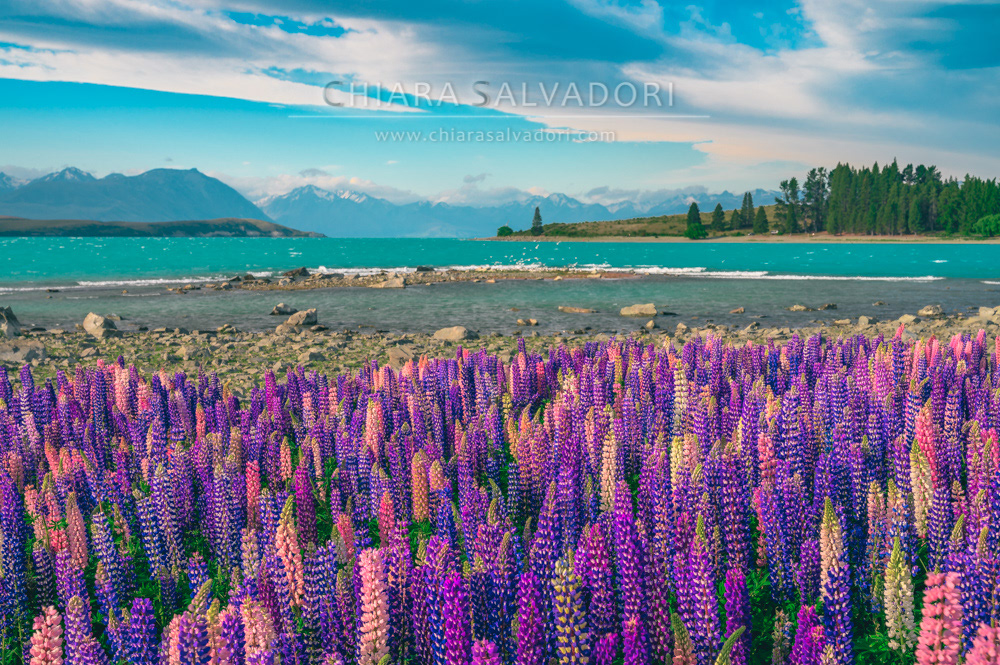 Lake Tekapo