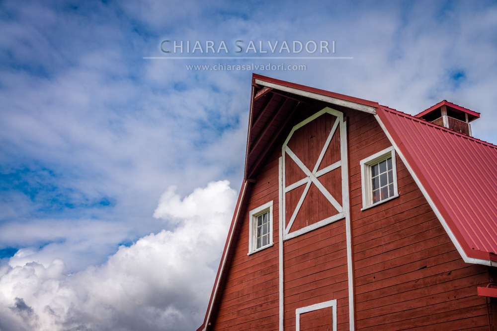 Musk Ox Farm - Palmer