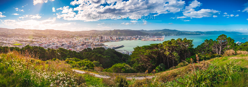 Wellington