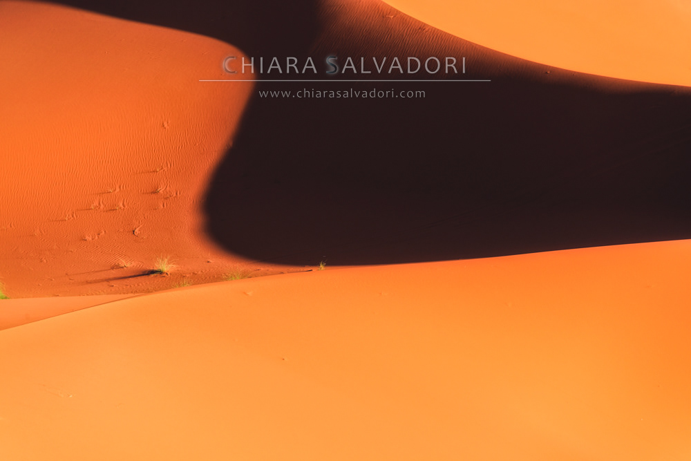 Sahara Desert