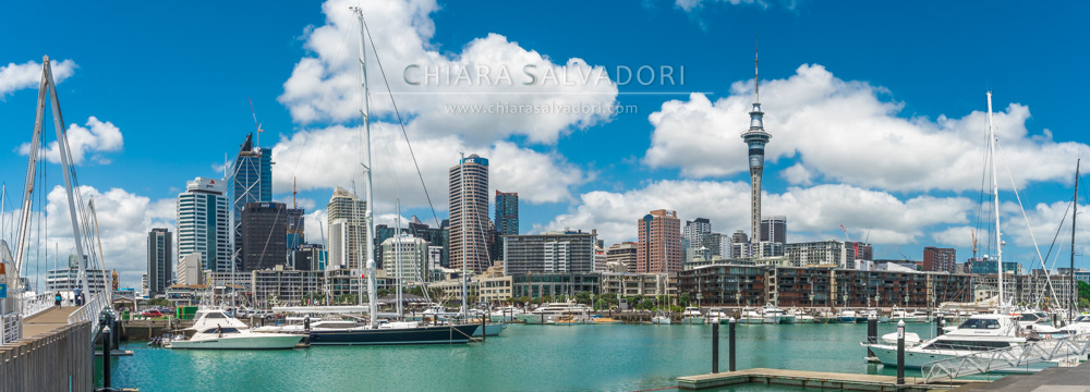 Auckland Skyline from Karanga Plaza
