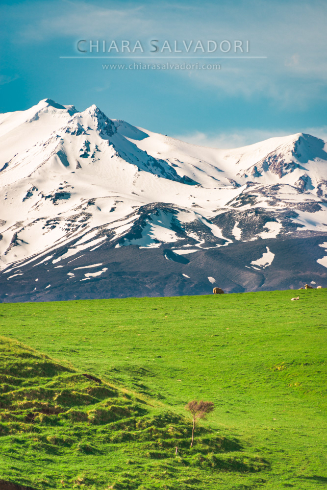Mt. Ruapehu