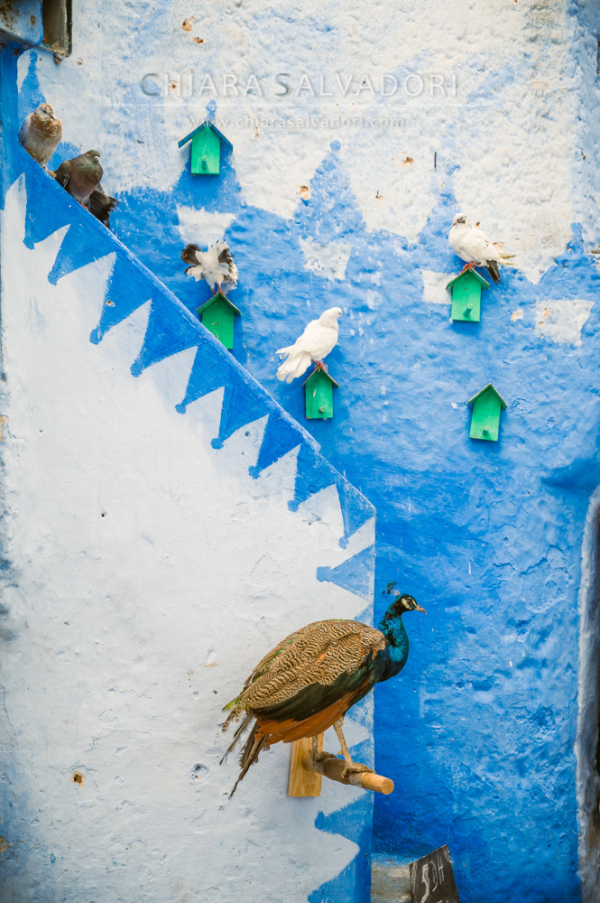Chefchaouen