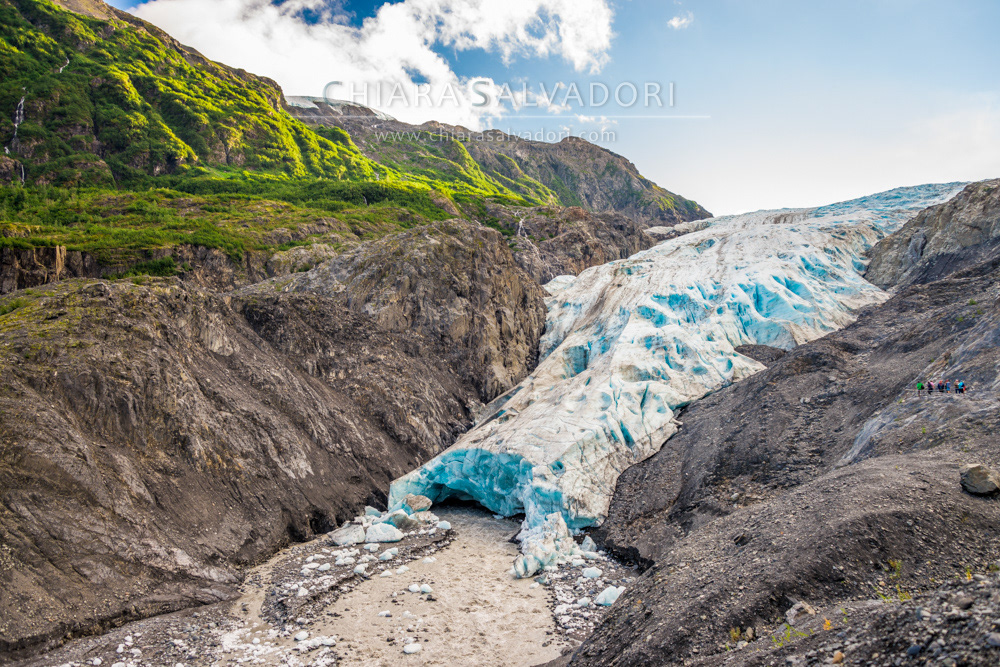 Exit Glacier