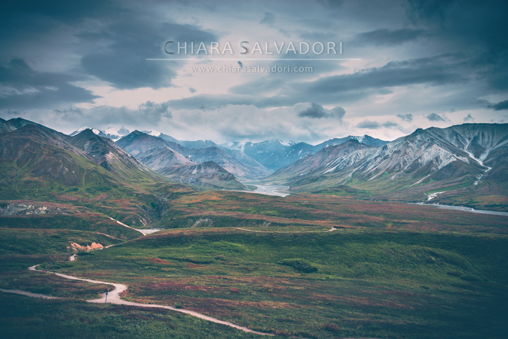 Denali National Park