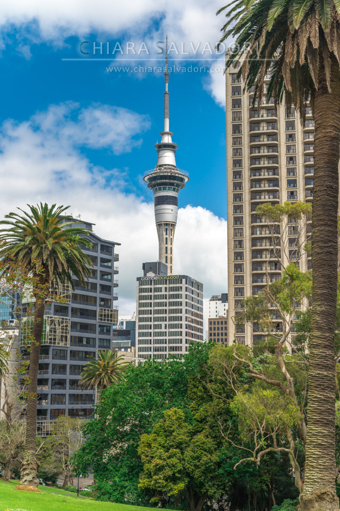 Auckland Skyline