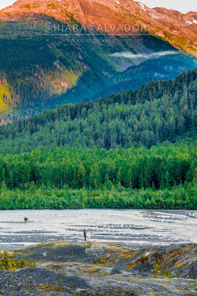 Exit Glacier