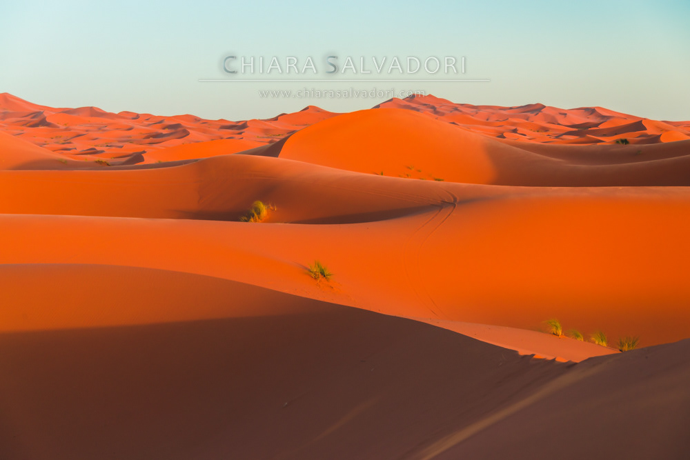 Sahara Desert