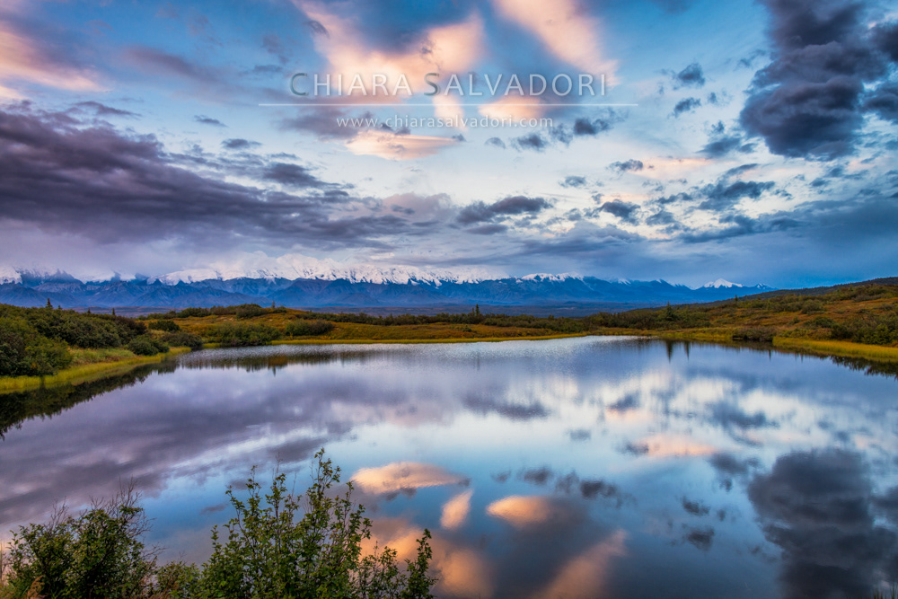 Denali National Park