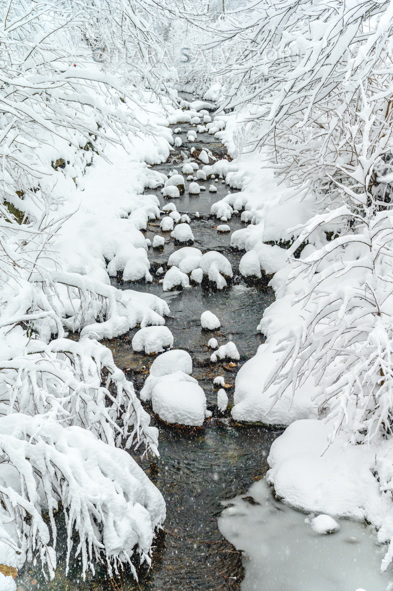 Osiglia in winter