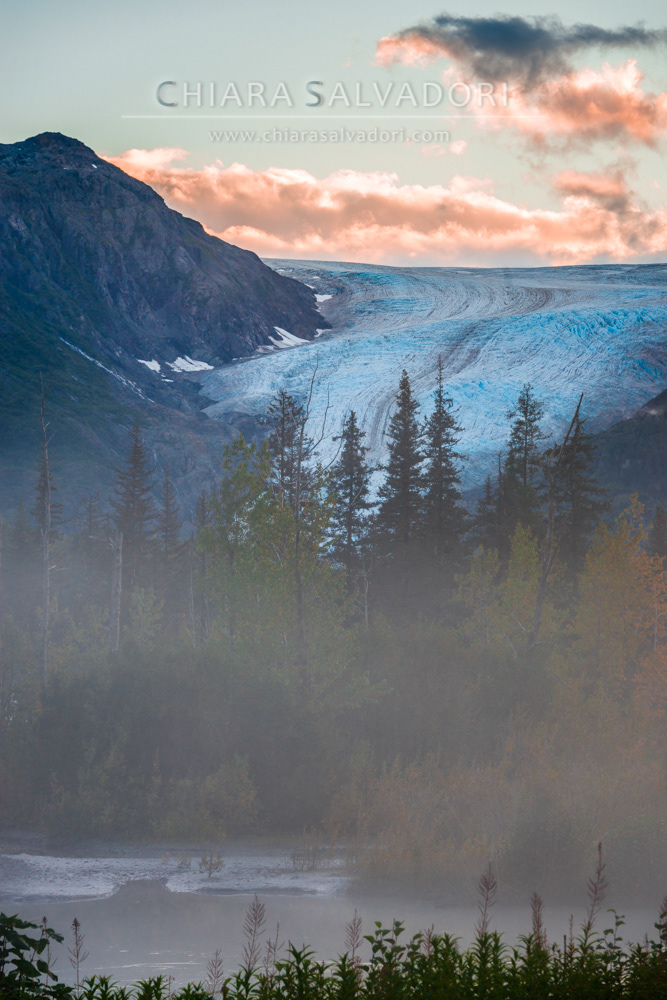Exit Glacier