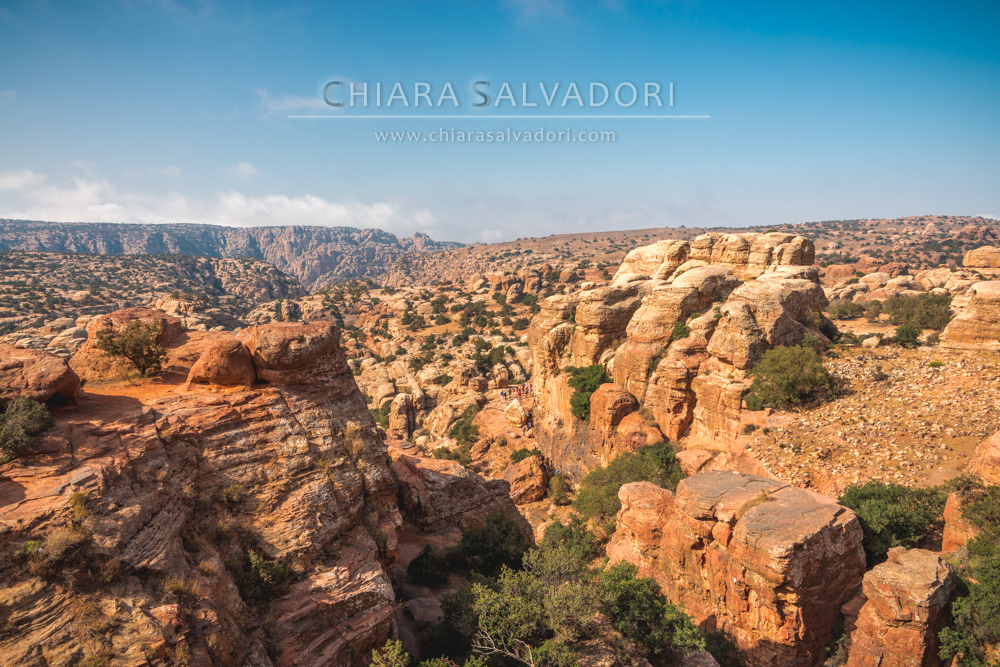 Dana Biosphere Reserve