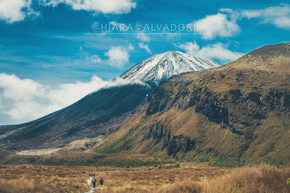 Tongariro National Park