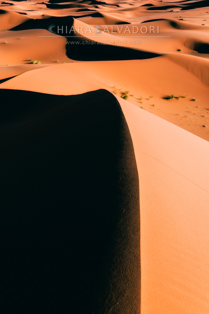 Sahara Desert