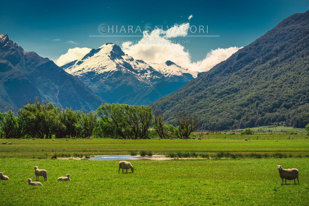 Haast Pass