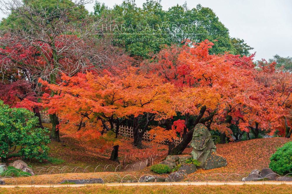 Okayama