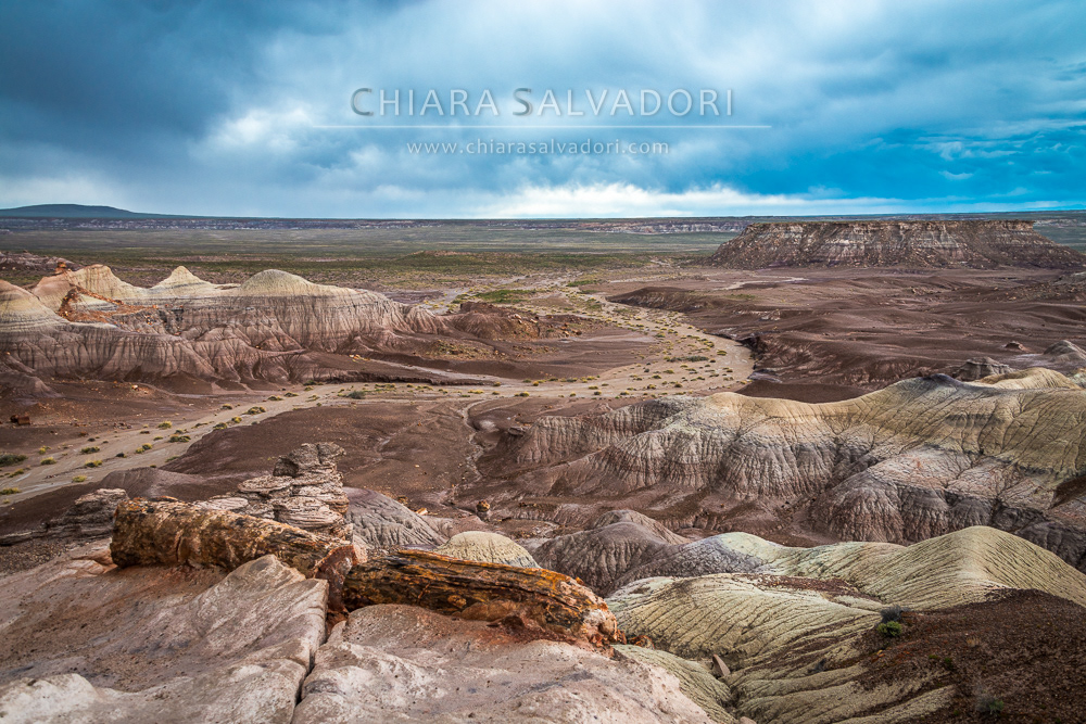 Blue Mesa, Petrified Forest National Park