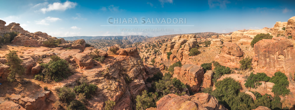 Dana Biosphere Reserve
