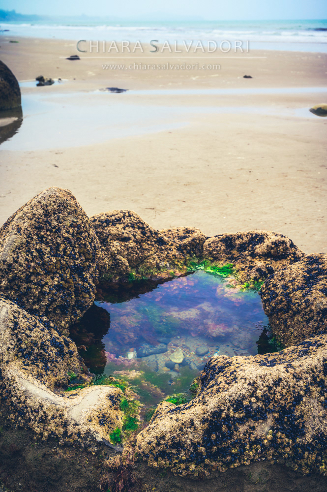 Moeraki Boulders Beach