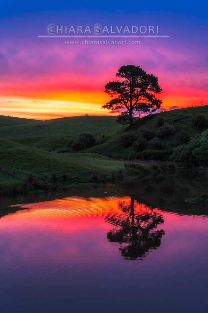 Hobbiton Movie Set