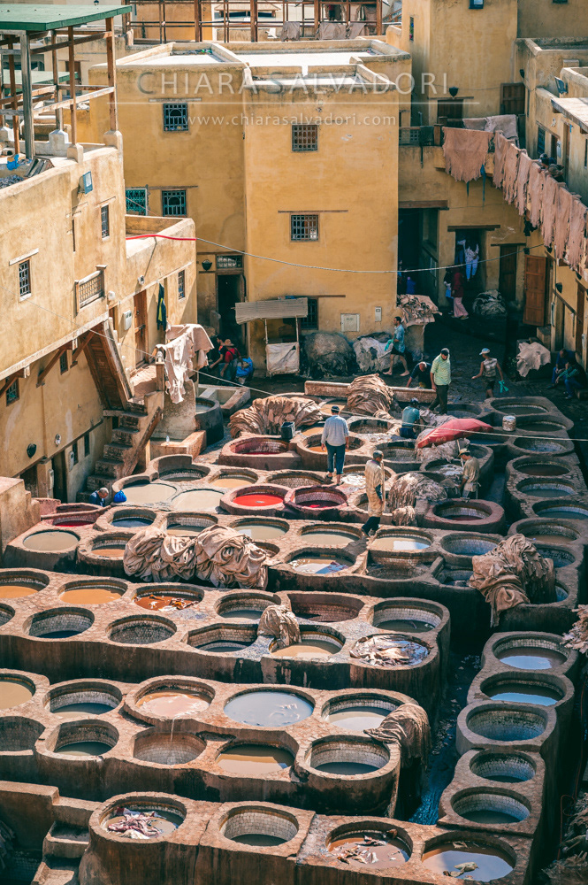 Leather tanning