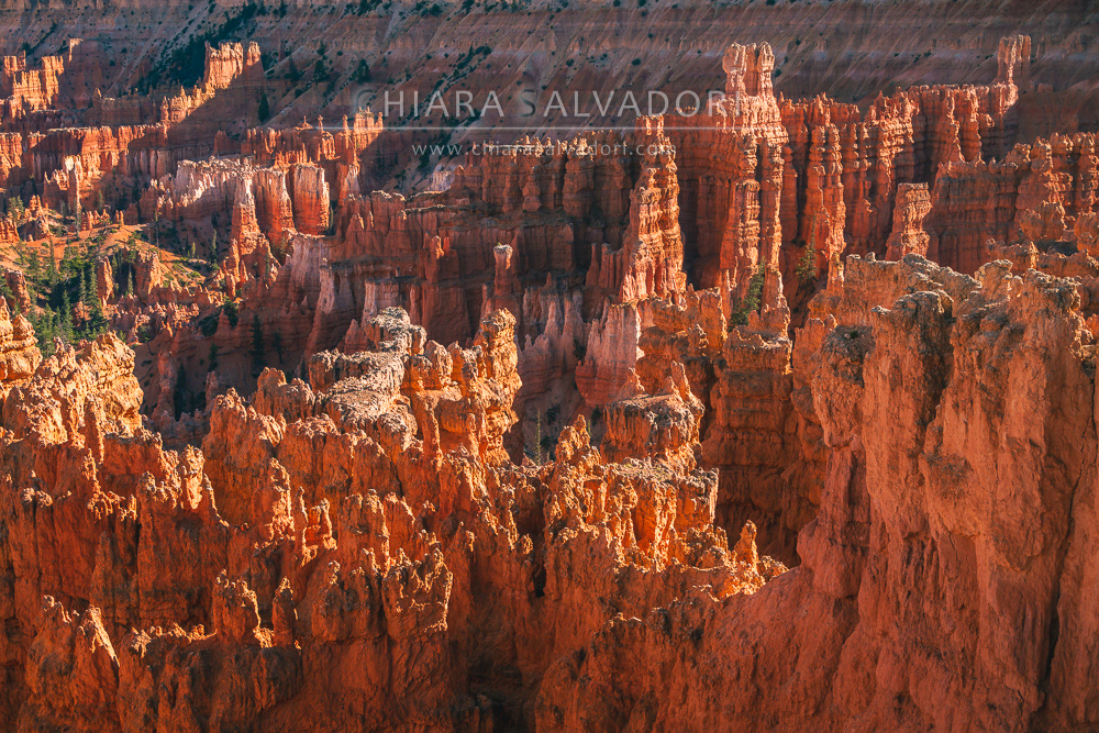 Bryce Canyon National Park