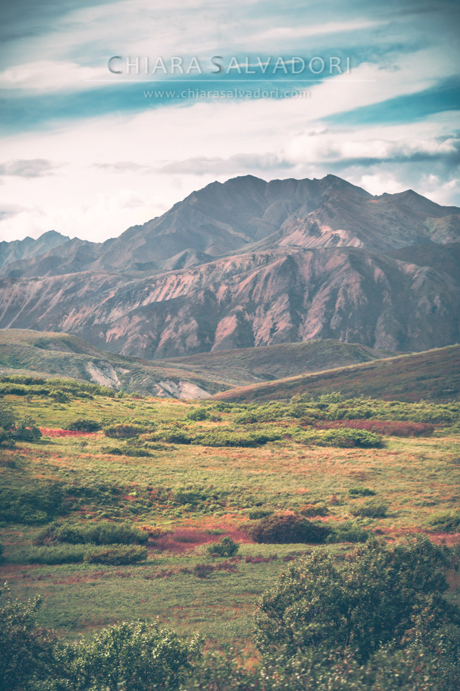 Denali National Park