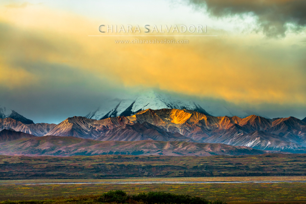 Denali National Park