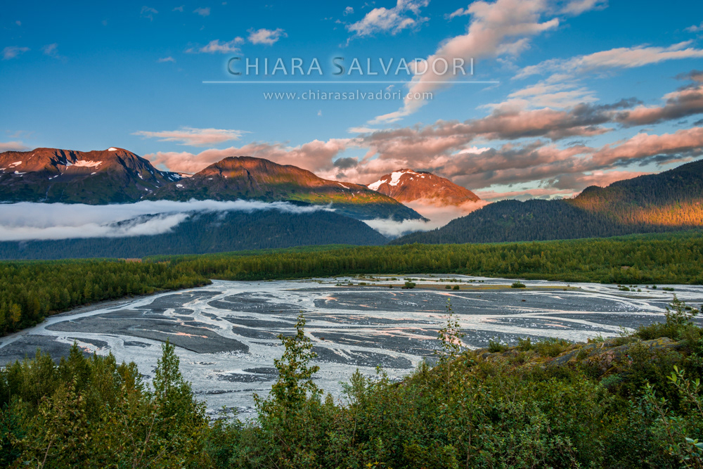 Exit Glacier