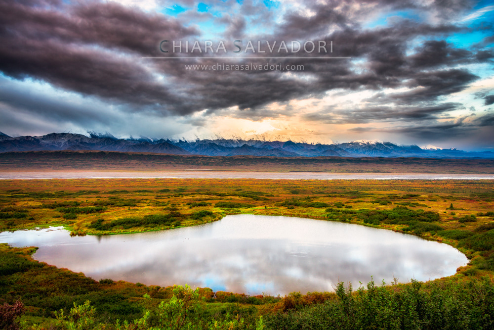Denali National Park