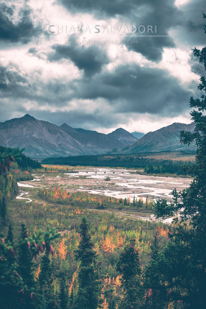 Denali National Park