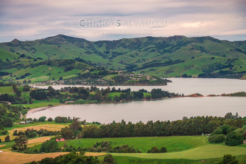 Akaroa