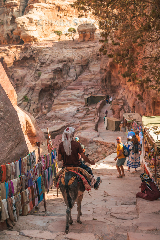 Petra