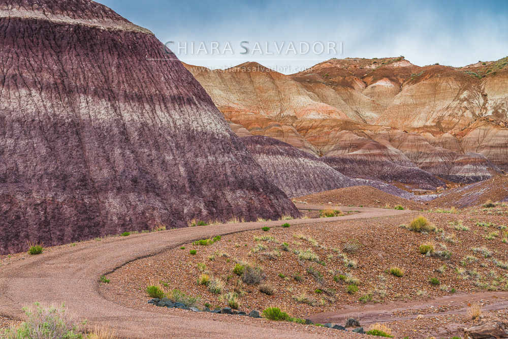 Blue Mesa, Petrified Forest National Park