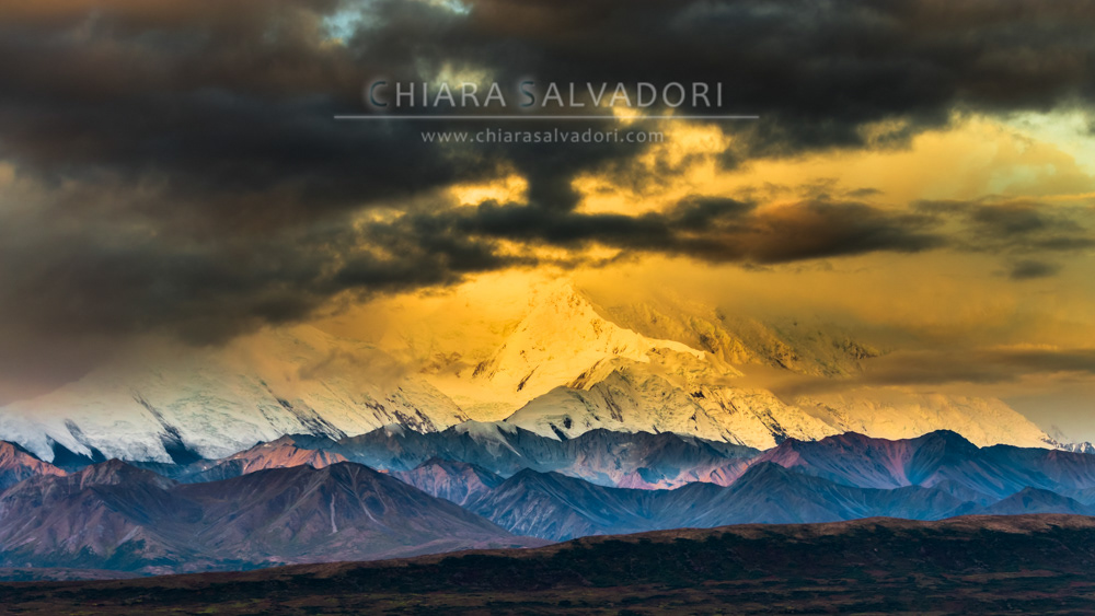 Denali National Park