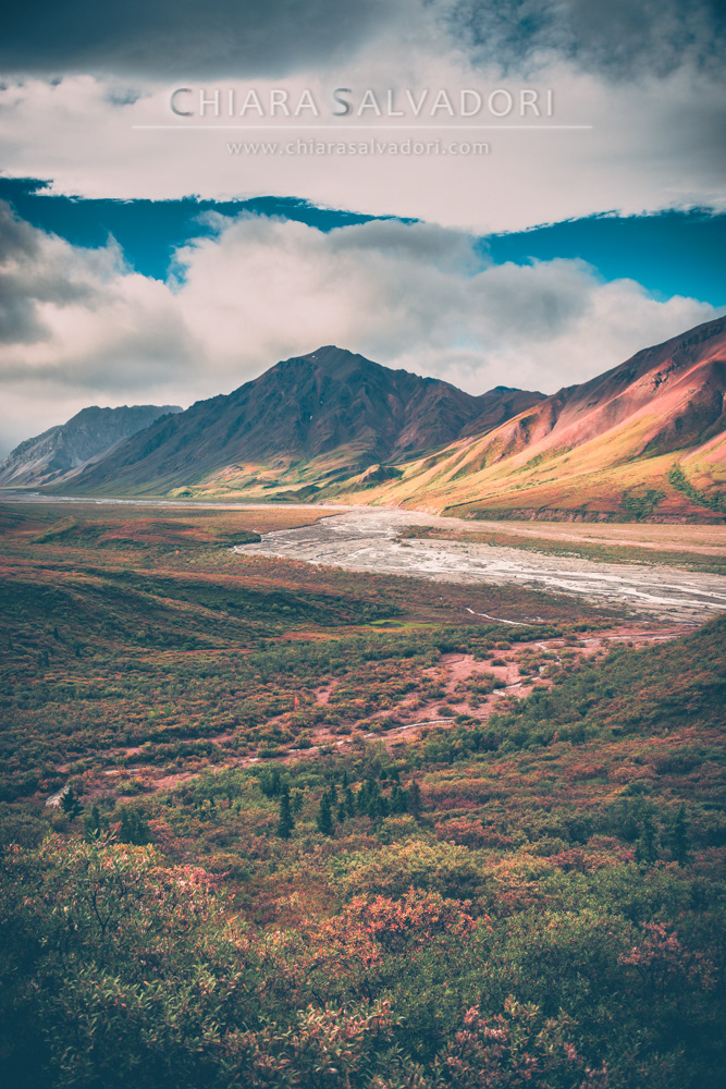 Denali National Park