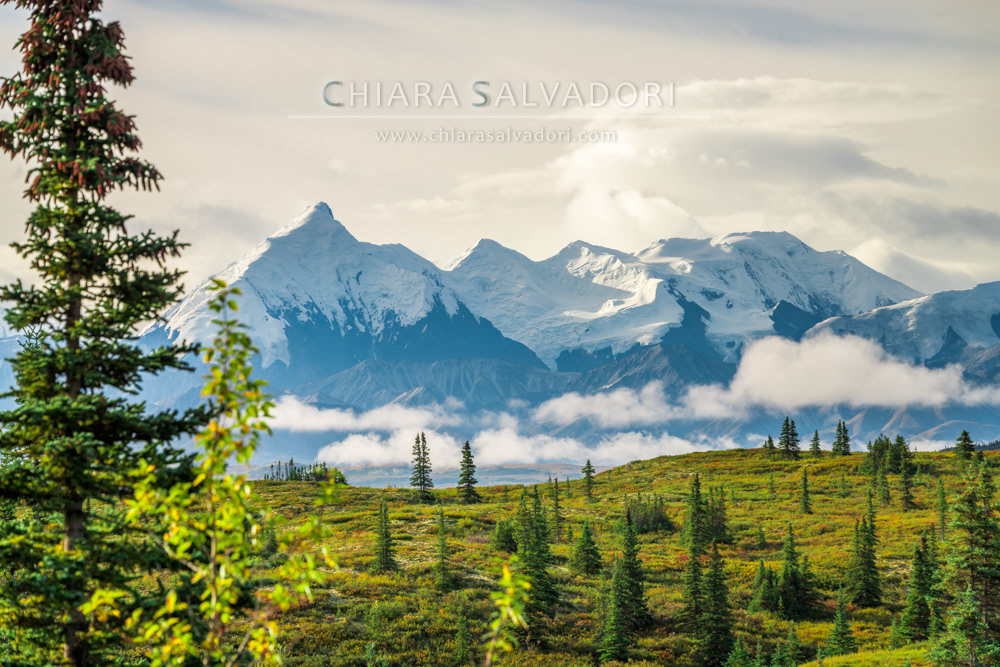 Denali National Park