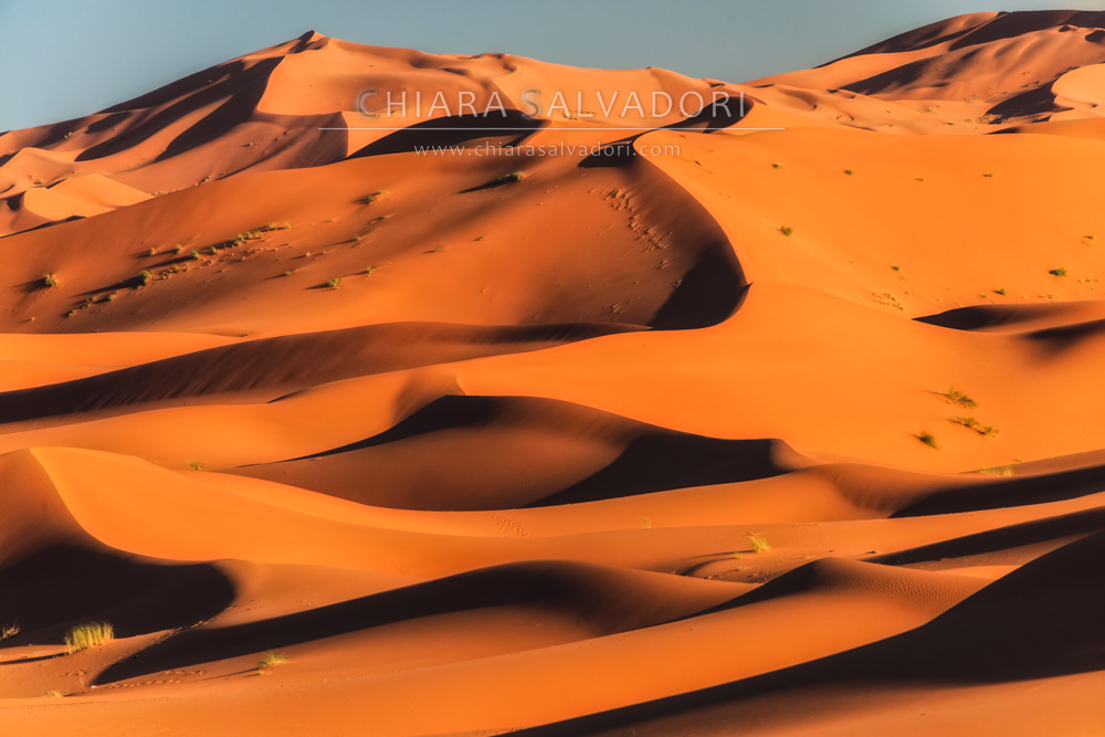 Sahara Desert
