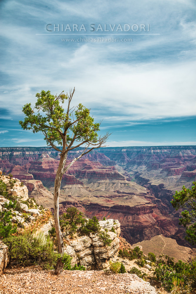 Grand Canyon National Park